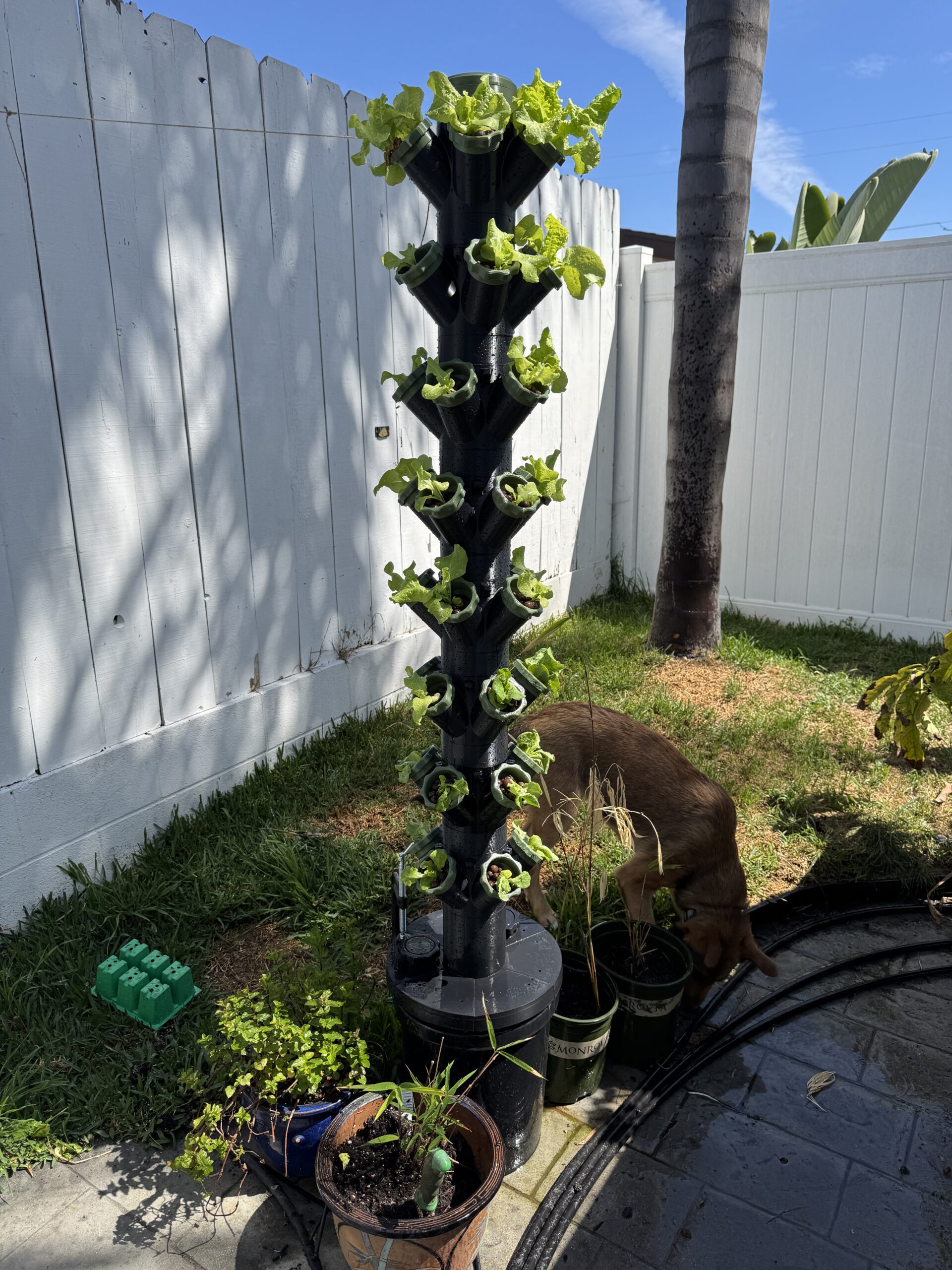 Black Hydroponic Tower Garden Kit 5 Gallon ASA Outdoor Indoor System - Image 3