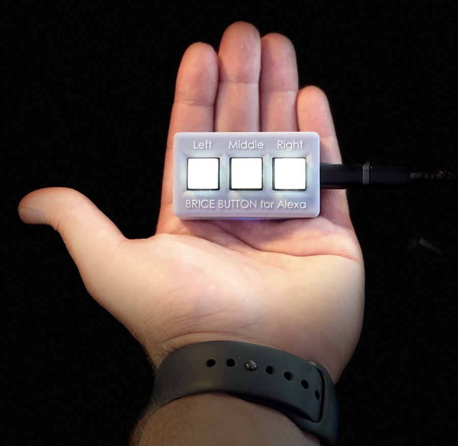 Custom three-button Alexa controller